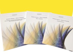 Coso Resumen Ejecutivo: Control interno - Marco integrado - Herramientas 2013