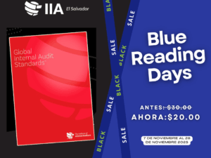 Normas Globales de Auditoría Interna (NOGAI)