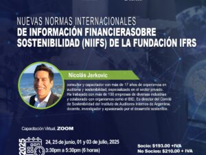 Nuevas Normas Internacionales de Información Financiera sobre Sostenibilidad (NIIFS) de la Fundación IFRS