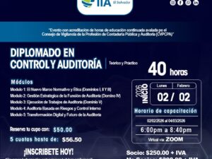 Diplomado en Control y Auditoría