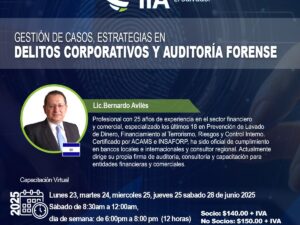 Gestión de Casos, Estrategias en Delitos Corporativos y Auditoría Forense