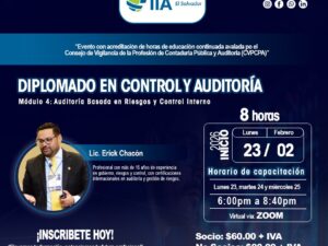 Módulo 4: Auditoría Basada en Riesgos y Control Interno