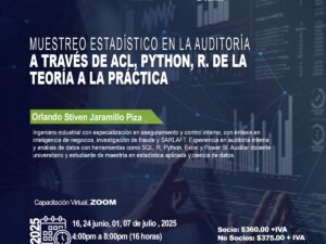 Muestreo Estadístico en la Auditoría a través de ACL, Python, R. De la teoría a la práctica