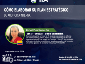 Cómo Elaborar su Plan Estratégico de Auditoria Interna