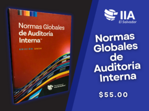 Normas Globales de Auditoría Interna (NOGAI)