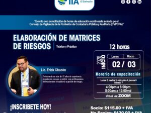 Elaboración de Matrices de Riesgos