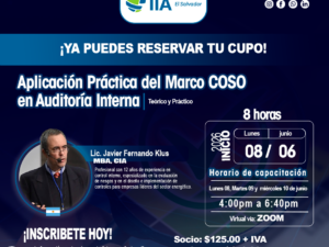 Aplicación Práctica del Marco COSO en Auditoría Interna