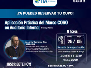 Aplicación Práctica del Marco COSO en Auditoría Interna
