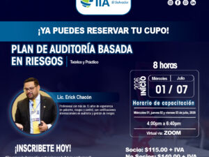 Plan de Auditoria Basada en Riesgos