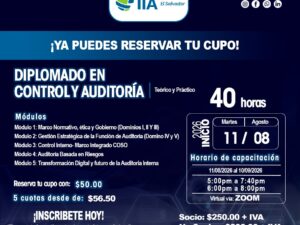 Diplomado Control y Auditoría