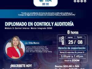 Módulo 3: Control Interno- Marco Integrado COSO