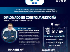 Módulo 4: Auditoría Basada en Riesgos